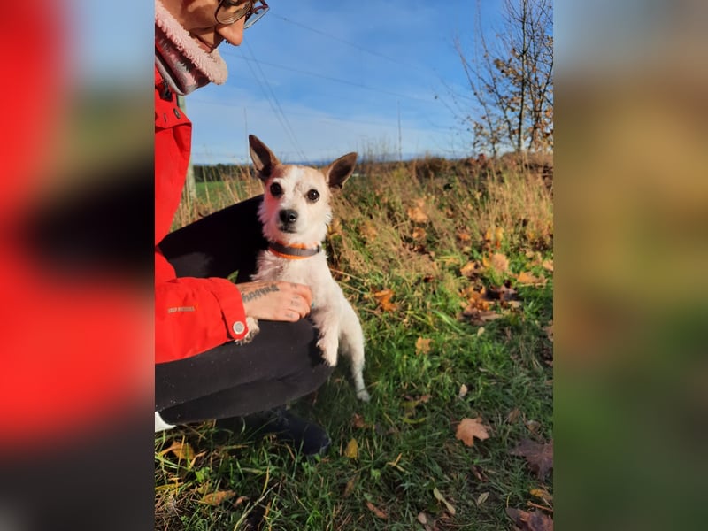 Elly  kleiner lebensfroher Sonnenschein aus 08548