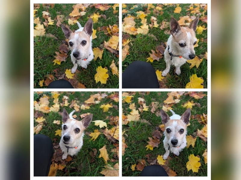 Elly  kleiner lebensfroher Sonnenschein aus 08548