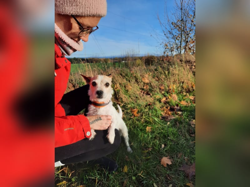 Elly  kleiner lebensfroher Sonnenschein aus 08548