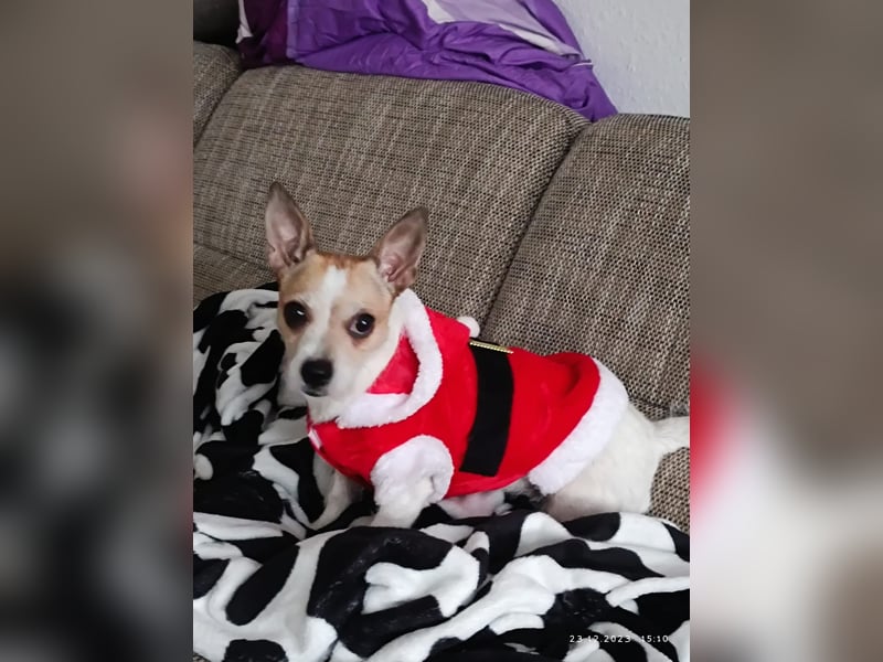 Elly  kleiner lebensfroher Sonnenschein aus 08548