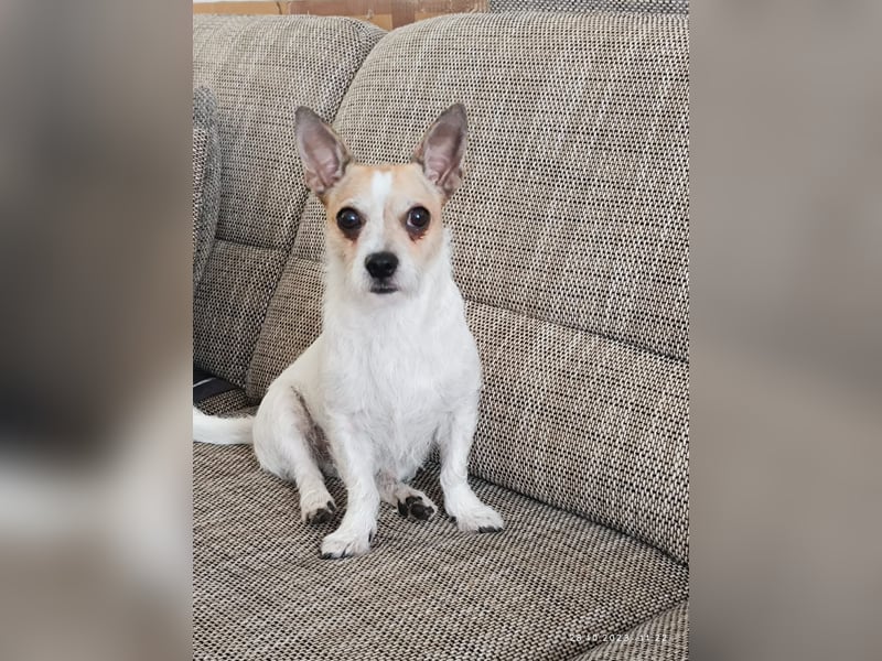 Elly  kleiner lebensfroher Sonnenschein aus 08548