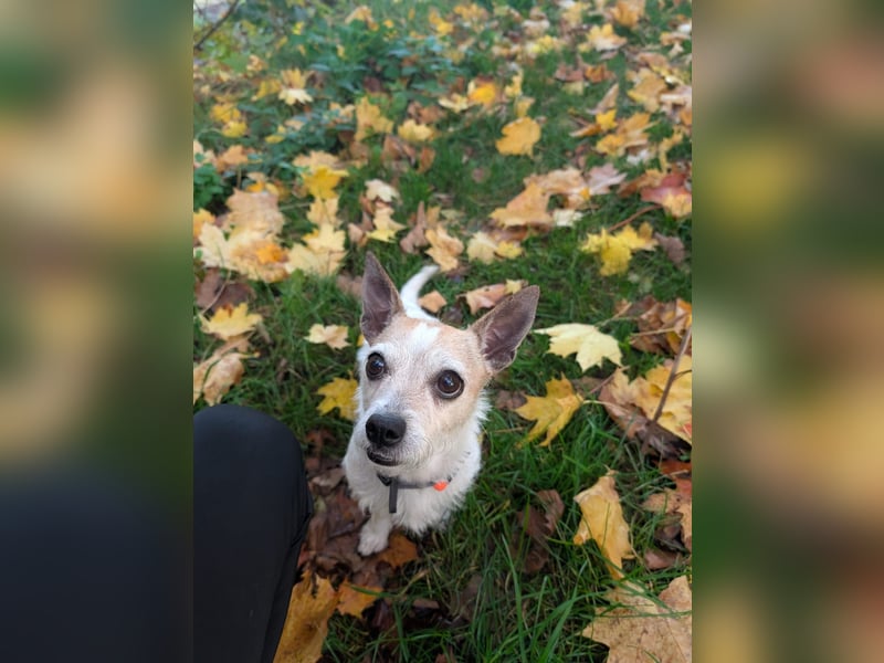 Elly  kleiner lebensfroher Sonnenschein aus 08548