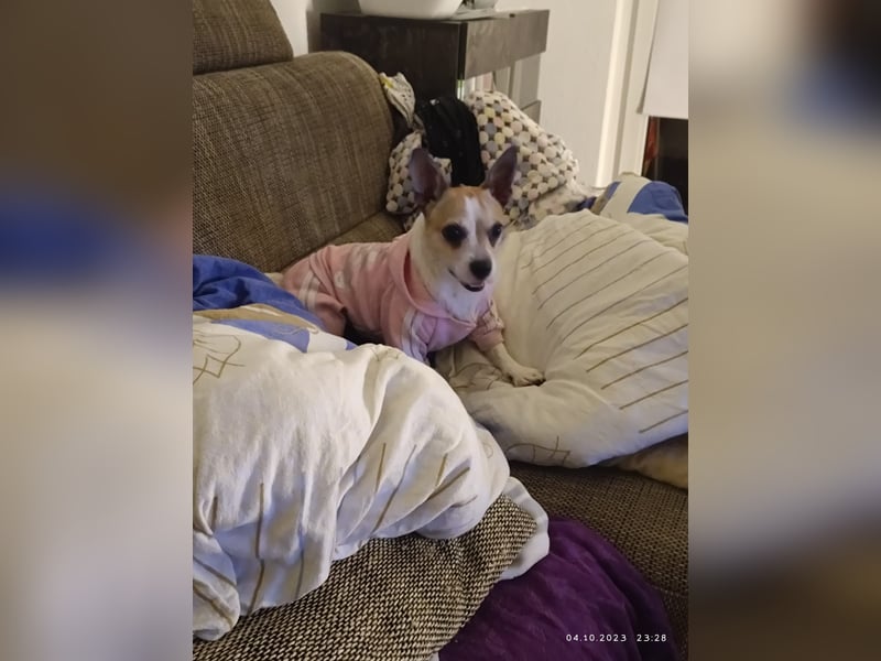 Elly  kleiner lebensfroher Sonnenschein aus 08548