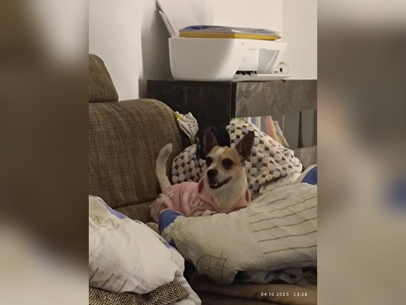 Elly  kleiner lebensfroher Sonnenschein aus 08548