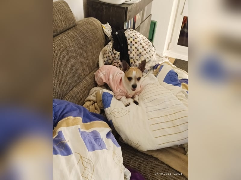 Elly  kleiner lebensfroher Sonnenschein aus 08548