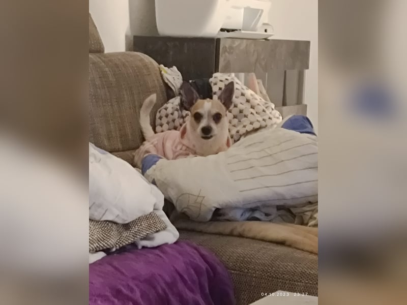 Elly  kleiner lebensfroher Sonnenschein aus 08548