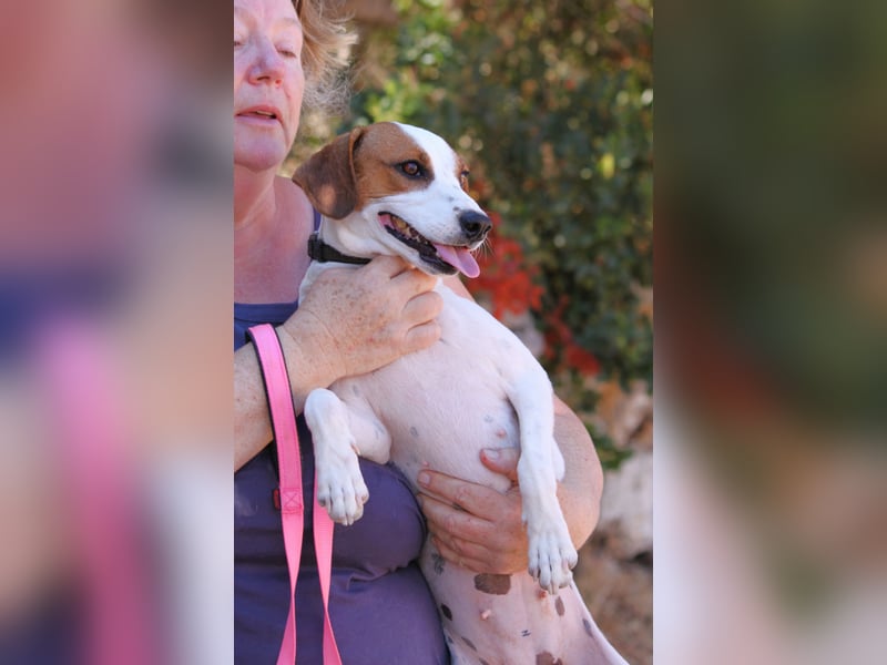 Jessi - Aktive Kuschelmaus sucht Menschen für gemeinsame Abenteuer