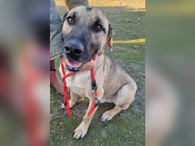 Császár von kettenlos