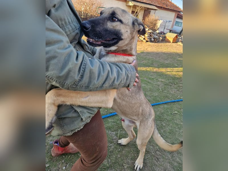 Császár von kettenlos