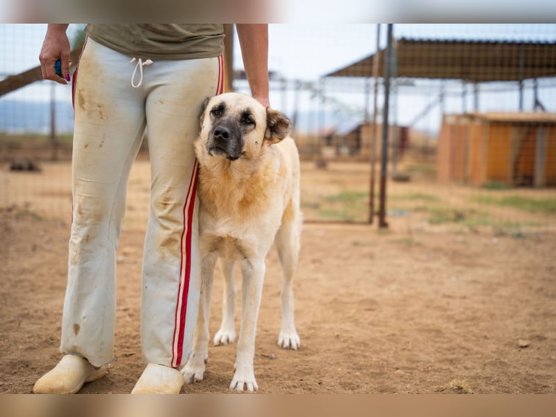 Lisa -extrem liebevoll