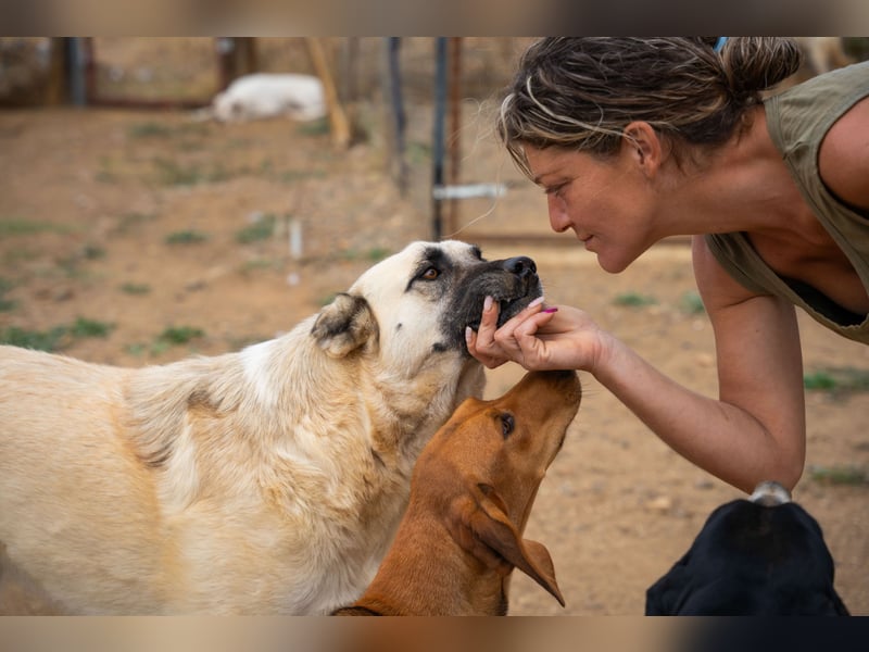 Lisa -extrem liebevoll