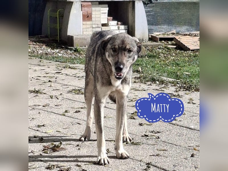 Matty eine gebrochene Seele