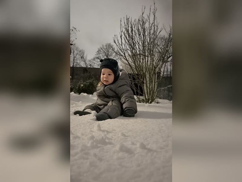 Kangal Hündin such ein liebevolles Zuhause