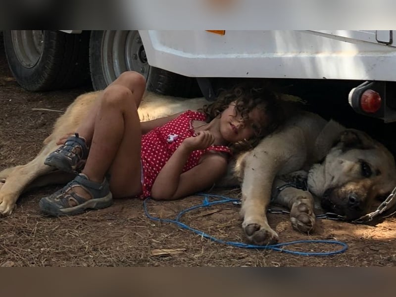 Kangaldame sucht Zuhause