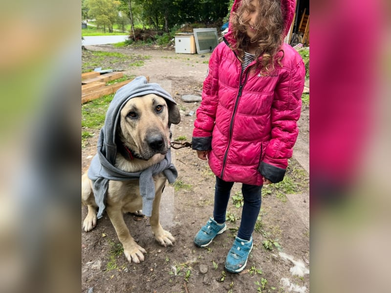 Kangaldame sucht Zuhause