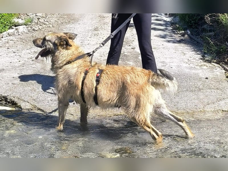 Kira wünscht sich eine liebvolle Familie