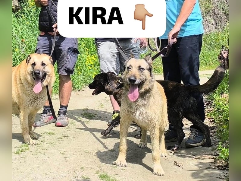 Kira wünscht sich eine liebvolle Familie
