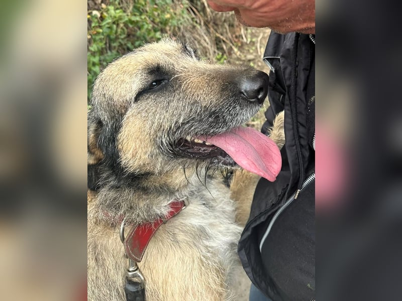 Kira wünscht sich eine liebvolle Familie