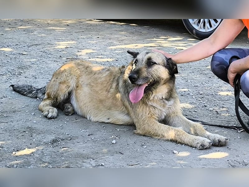 Kira wünscht sich eine liebvolle Familie