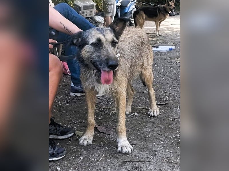 Kira wünscht sich eine liebvolle Familie