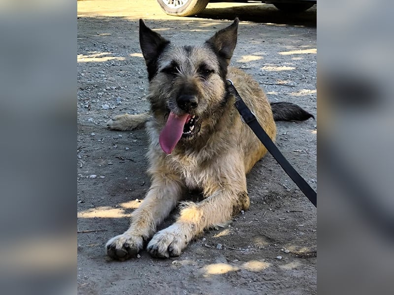 Kira wünscht sich eine liebvolle Familie