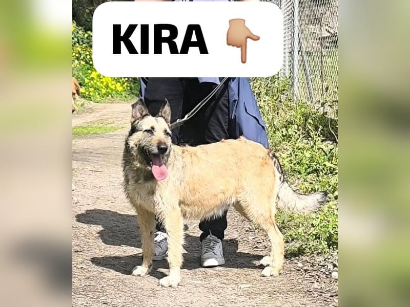 KIRA wünscht sich eine liebevolle Familie
