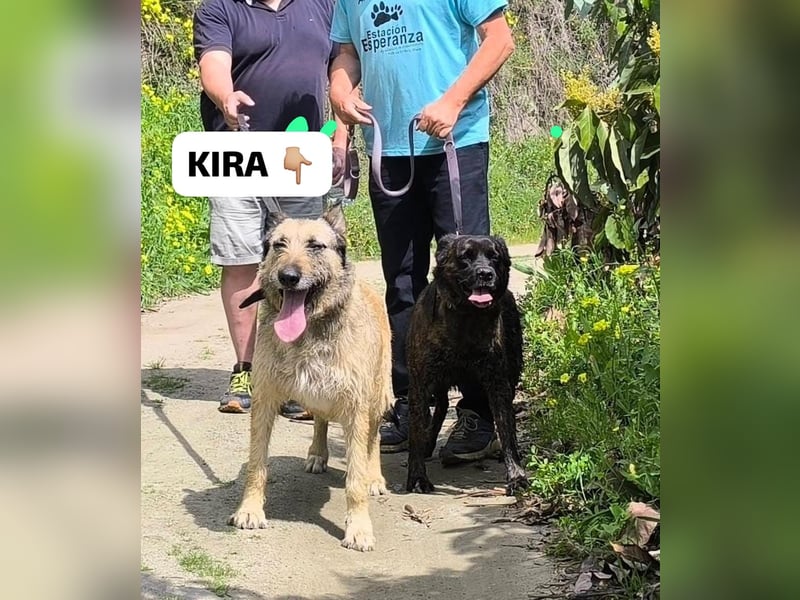 Kira wünscht sich eine liebvolle Familie