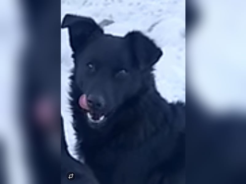 Milo