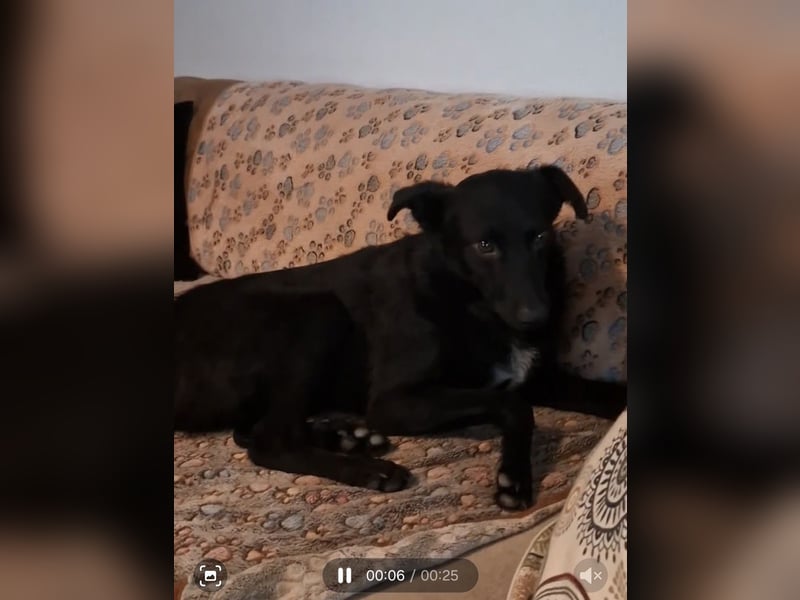 Milo