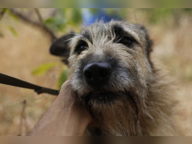 GOLFO sucht sensible Menschen
