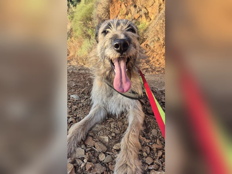 GOLFO sucht sensible Menschen