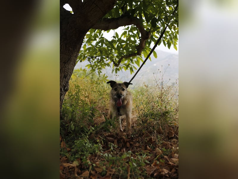 GOLFO sucht sensible Menschen