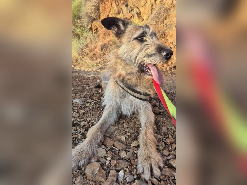 Golfo sucht sensible Menschen