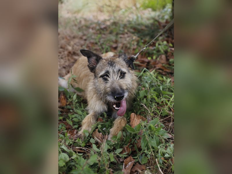 GOLFO sucht sensible Menschen