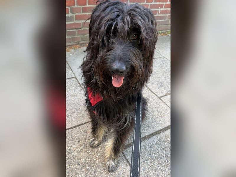 Munterer OSKAR sucht aktive Menschen