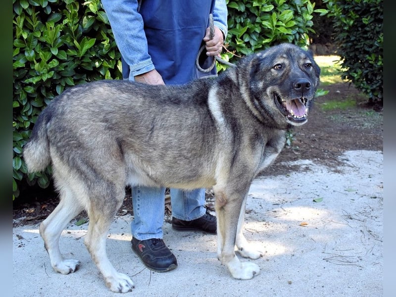 Margherito - Das gestohlene Leben