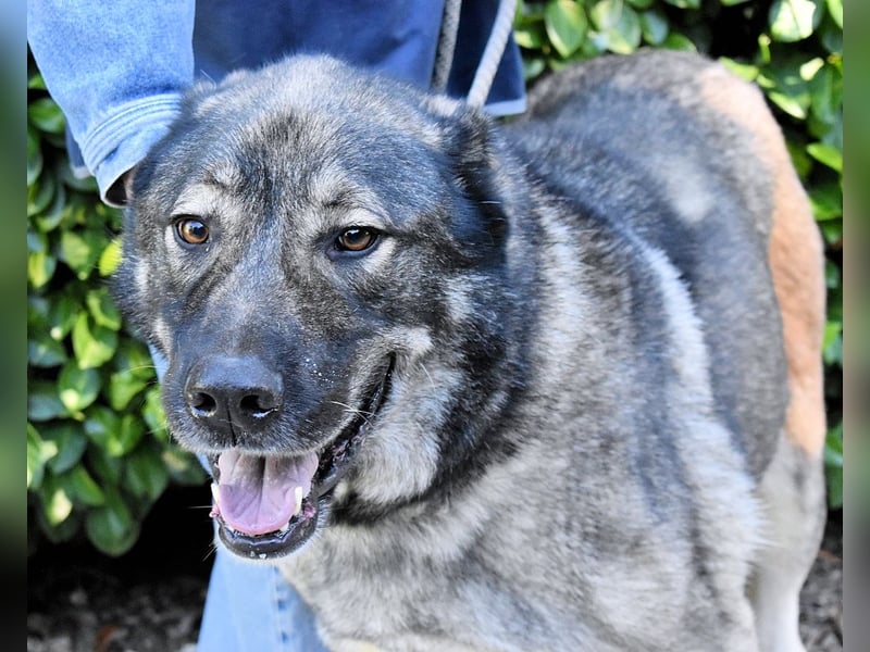 Margherito - Das gestohlene Leben