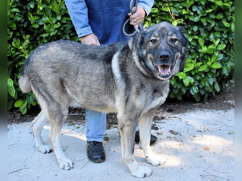 Margherito - Das gestohlene Leben