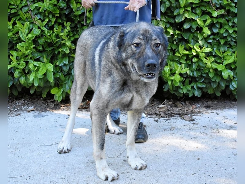 Margherito - Das gestohlene Leben