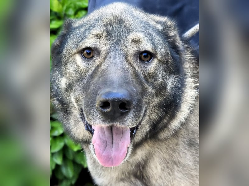 Margherito - Das gestohlene Leben