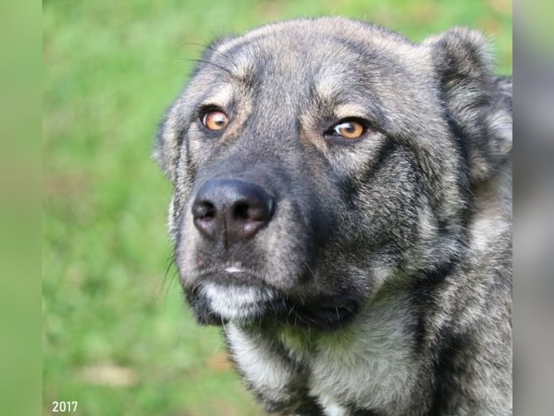 Margherito - Das gestohlene Leben