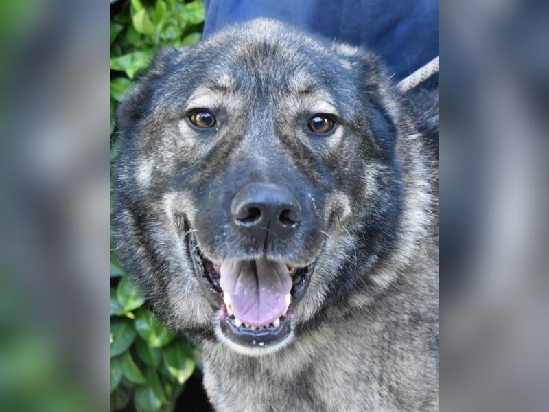 Margherito - Das gestohlene Leben