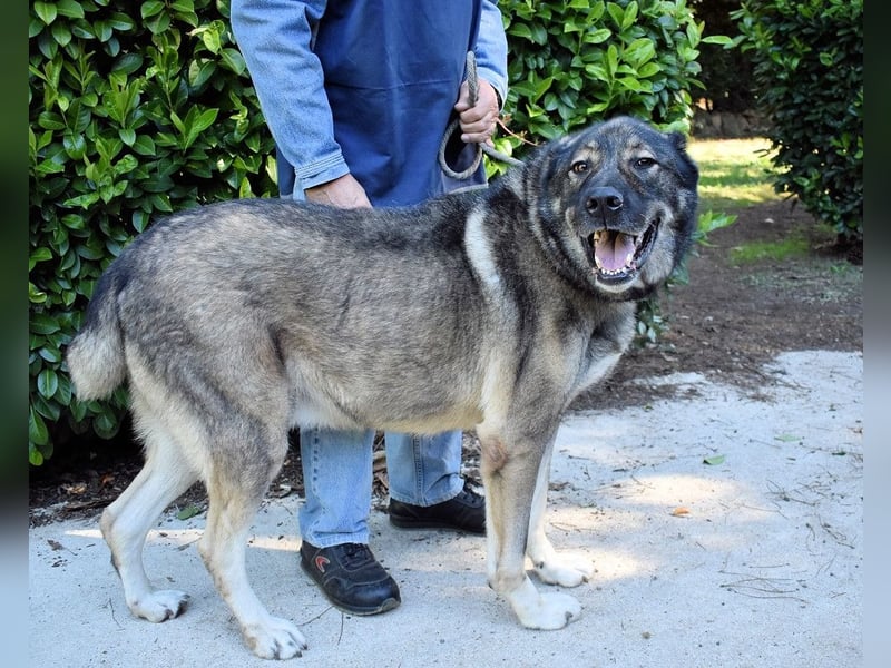 Margherito - Das gestohlene Leben