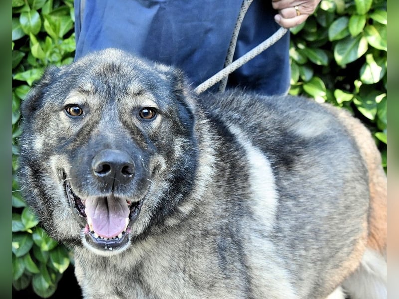 Margherito - Das gestohlene Leben