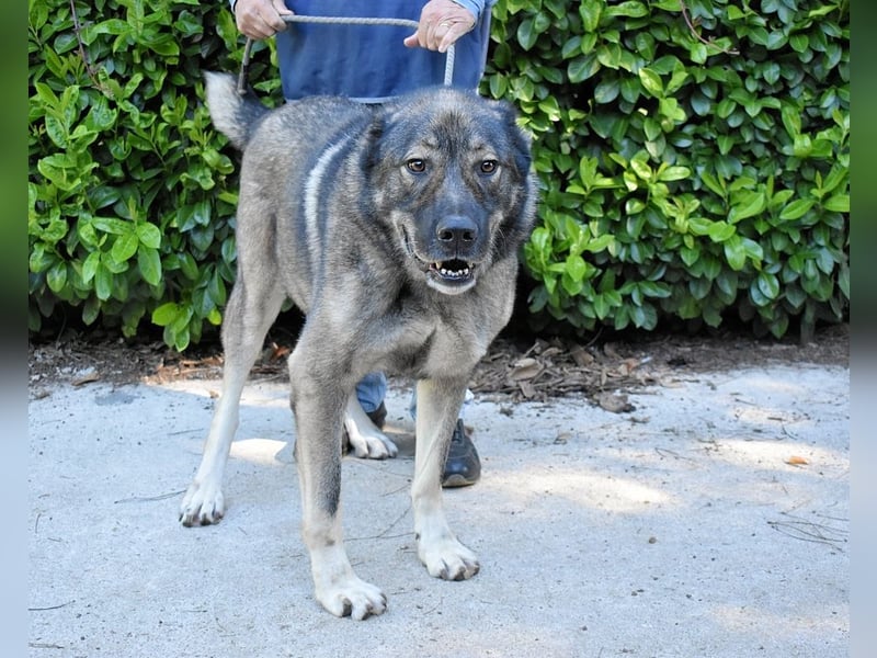 Margherito - Das gestohlene Leben