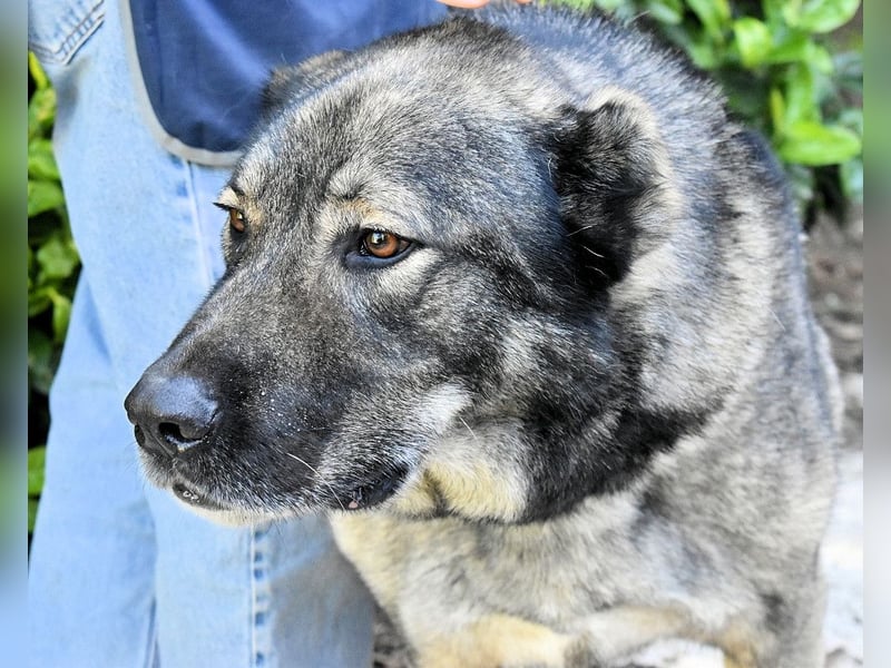 Margherito - Das gestohlene Leben