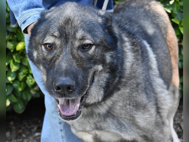 Margherito - Das gestohlene Leben