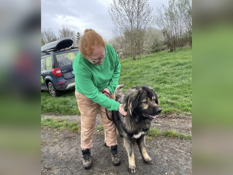 Ural, Kaukase sucht ländliche Umgebung