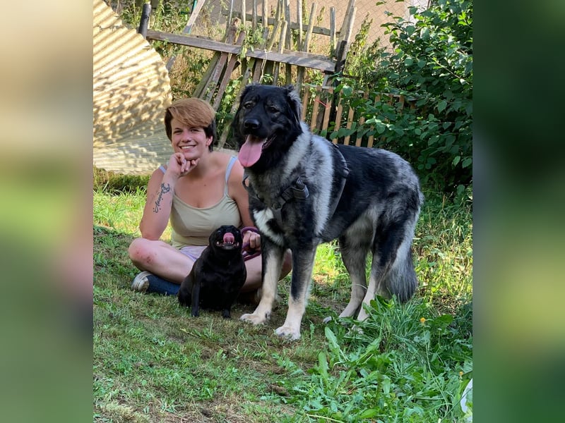 Anouk sucht liebevolles Zuhause