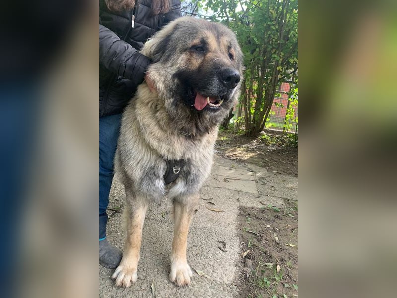 Rocky sucht sein Glück!